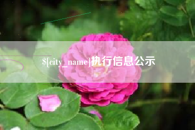 衡阳执行信息公示