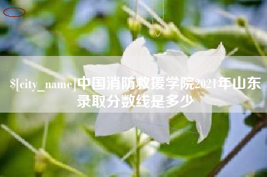 衡阳中国消防救援学院2021年山东录取分数线是多少