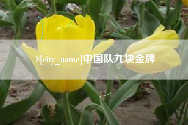 衡阳中国队九块金牌