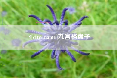 衡阳九宫格盘子