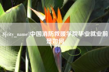 衡阳中国消防救援学院毕业就业前景如何