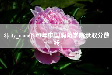 衡阳2021年中国消防学院录取分数线