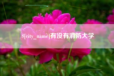 衡阳有没有消防大学