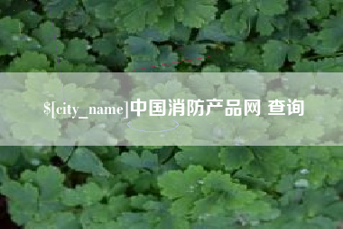 衡阳中国消防产品网 查询