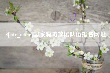 衡阳国家消防救援队伍报名网址