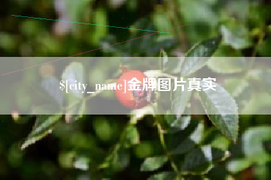 衡阳金牌图片真实