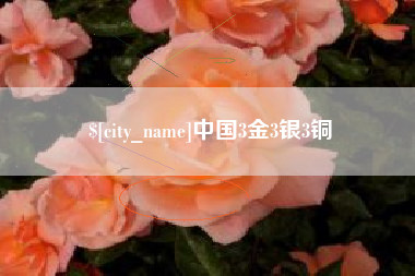 衡阳中国3金3银3铜
