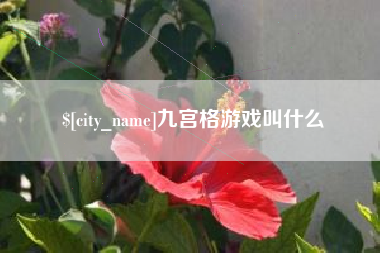 衡阳九宫格游戏叫什么