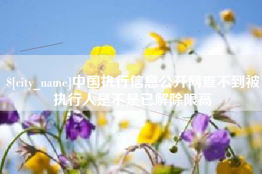 衡阳中国执行信息公开网查不到被执行人是不是已解除限高