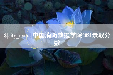 衡阳中国消防救援学院2021录取分数