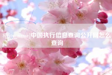 衡阳中国执行信息查询公开网怎么查询
