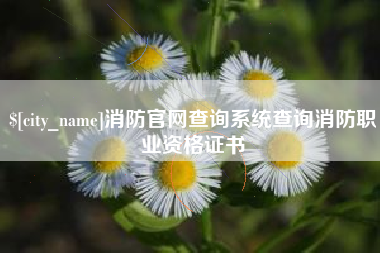 衡阳消防官网查询系统查询消防职业资格证书
