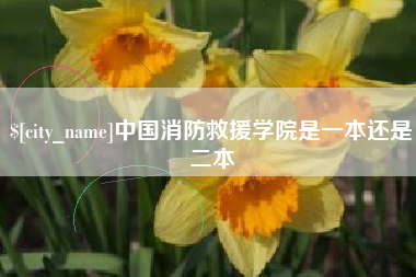衡阳中国消防救援学院是一本还是二本