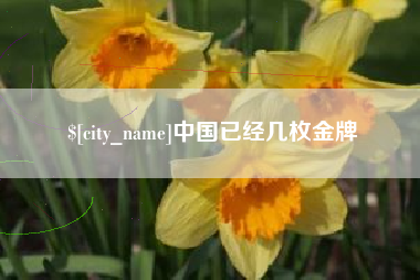 衡阳中国已经几枚金牌