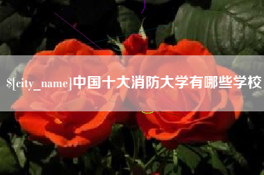 衡阳中国十大消防大学有哪些学校