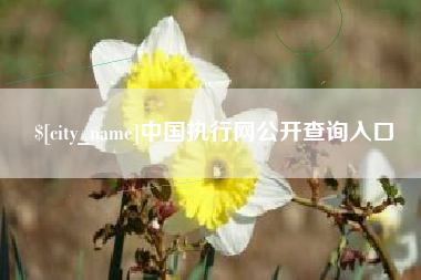 衡阳中国执行网公开查询入口