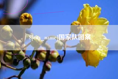 衡阳国家队图案