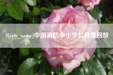 衡阳中国消防中小学公开课回放