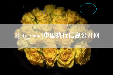 衡阳中国执行信息公开网
