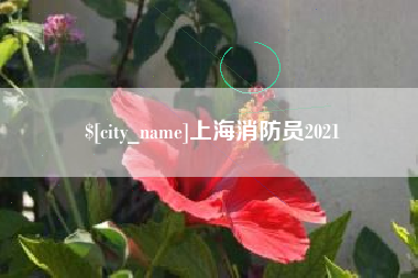 衡阳上海消防员2021