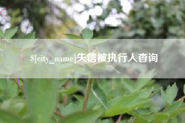 衡阳失信被执行人杳询