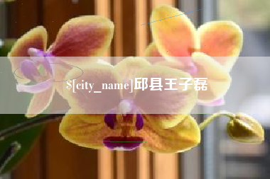 衡阳邱县王子磊