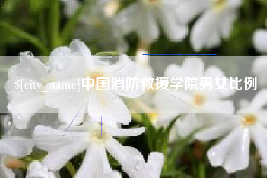 衡阳中国消防救援学院男女比例