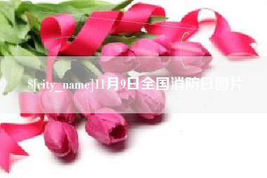 衡阳11月9日全国消防日图片