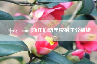 衡阳浙江消防学校招生分数线