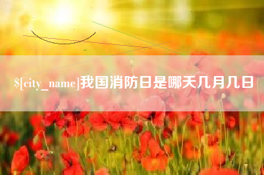衡阳我国消防日是哪天几月几日