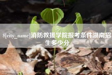 衡阳消防救援学院报考条件湖南招生多少分