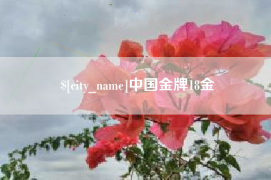 衡阳中国金牌18金