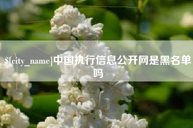 衡阳中国执行信息公开网是黑名单吗