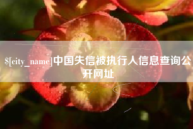 衡阳中国失信被执行人信息查询公开网址