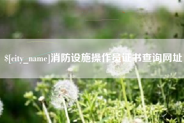 衡阳消防设施操作员证书查询网址