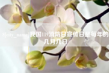 衡阳我国119消防日宣传日是每年的几月几日