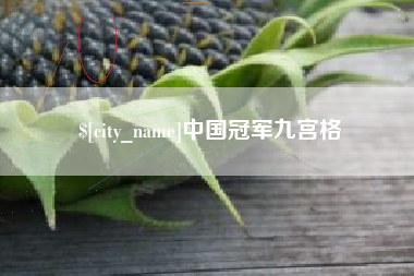衡阳中国冠军九宫格