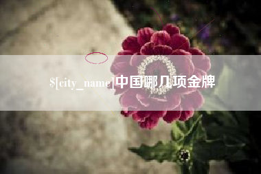 衡阳中国哪几项金牌