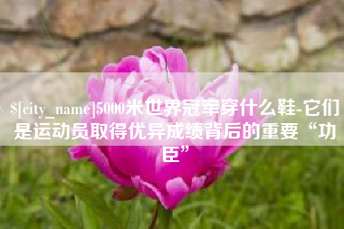 衡阳5000米世界冠军穿什么鞋-它们是运动员取得优异成绩背后的重要“功臣”
