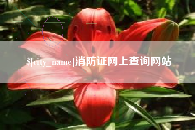 衡阳消防证网上查询网站