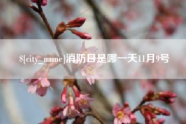 衡阳消防日是哪一天11月9号