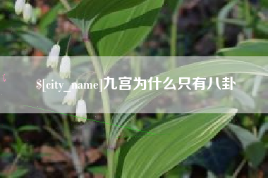 衡阳九宫为什么只有八卦
