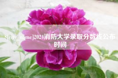 衡阳2024消防大学录取分数线公布时间