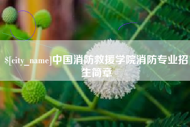 衡阳中国消防救援学院消防专业招生简章