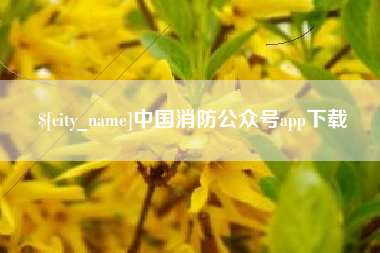 衡阳中国消防公众号app下载