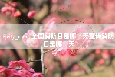 衡阳全国消防日是哪一天宣传消防日是哪一天