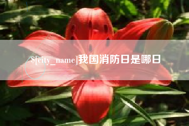 衡阳我国消防日是哪日