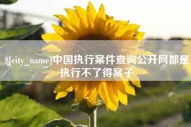 衡阳中国执行案件查询公开网都是执行不了得案子