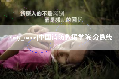 衡阳中国消防救援学院 分数线