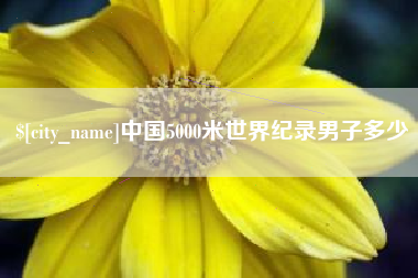 衡阳中国5000米世界纪录男子多少